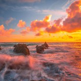 WallpaperDog-20467146