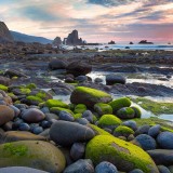 WallpaperDog-5513075