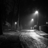 11_leonbuchholz-fritzerpenbeckringberlin