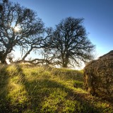 14anasanchez-grassysunnyday