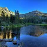 1anthonyhanna-forestlandscape