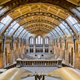 4_michaeldbeckwith-naturalhistorymuseumlondon