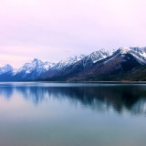 4lizarodriguez-tetonnationalparkjennylakeid