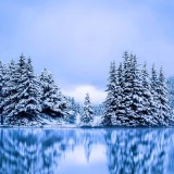 BanffEvergreens_EN-AU12780032283_1920x1080