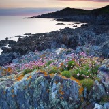 BullPoint_ZH-CN0520993795_1920x1080