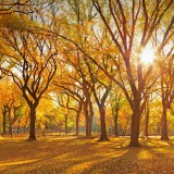 CPMall_ZH-CN1202155438_1920x1080