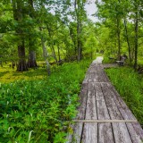 JeanLafitte_EN-AU11428973003_1920x1080