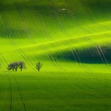 SouthMoravian_ZH-CN13384331455_1920x1080