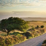 StokePero_ZH-CN5293082939_1920x1080