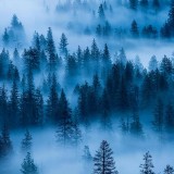 YosemiteFog_EN-AU8423699903_1920x1080