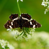 arnoulddepotestadetornaco_seasons15