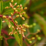 arnoulddepotestadetornaco_seasons16