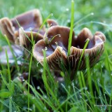 arnoulddepotestadetornaco_seasons4