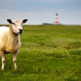 mathiasrehberg_germanlandscapes2