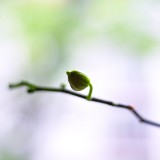 piqsels.com-id-skeca