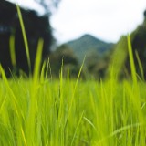 piqsels.com-id-skqza