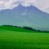 piqsels.com-id-zktfm