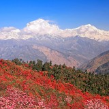 01-gettyimages-1081932780_resized