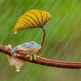 01-gettyimages-1141960089_resized