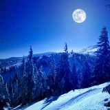 02-gettyimages-165844341_resized