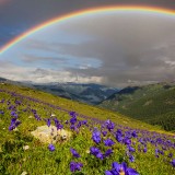 02-gettyimages-619218558_resized