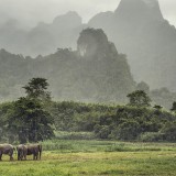 02-gettyimages-700861160_resized