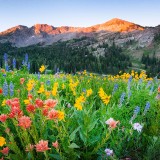 03-gettyimages-989376126_resized