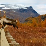 03_gettyimages_179305904_resized