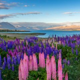 04-gettyimages-511777636_resized