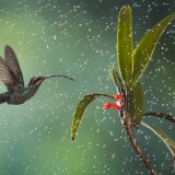 04-gettyimages-853369406_resized