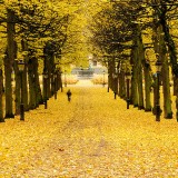 04_gettyimages_146966797_resized