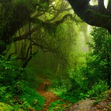 04_gettyimages_467233280_high_resized