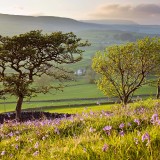 05-gettyimages-109905581_resized