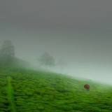 05-gettyimages-496671689_resized