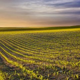 05_gettyimages-538918464_resized