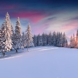 06-gettyimages-460682111_resized