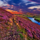 06-gettyimages-465979052_resized