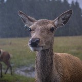 06-gettyimages-769805717_resized