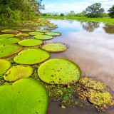 06_gettyimages_490995408_super_resized