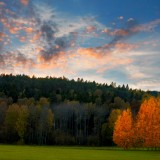 06_gettyimages_898254360_resized