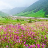 07-gettyimages-478090988_resized