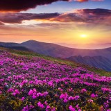 08-gettyimages-515228946_resized