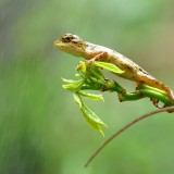 08-gettyimages-907753204_resized