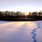 08_gettyimages-955299174_resized