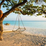 09-gettyimages-879058602_resized