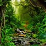 09_gettyimages_625599832_high_resized