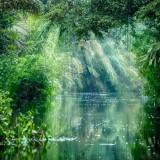 11_gettyimages_641204842_super_resized