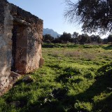 12_demosfen-wallfieldcyprus