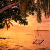 13-gettyimages-1047631830_resized