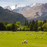 14_tudorapmadoc-newzealandcountryside2